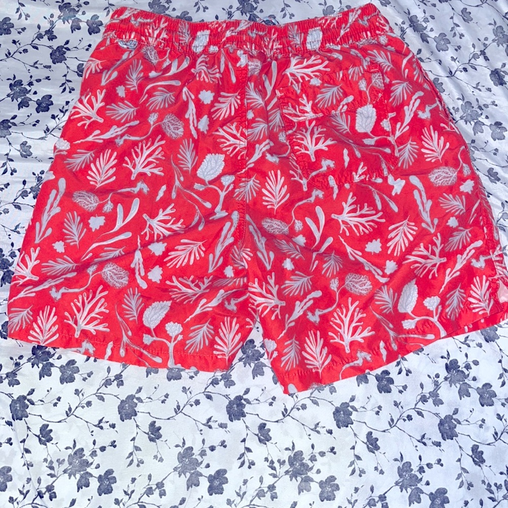 Goodfellow& Co. Men’s Swim Trunks - Picture 3 of 4